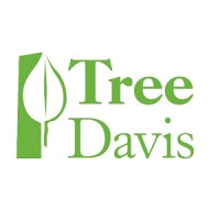 Tree Davis Logo