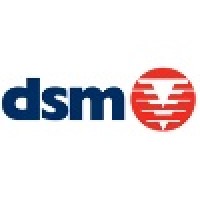 Dsm Demolition Limited Logo
