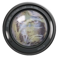 PhotoFax, Inc. Logo