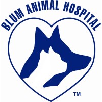 Blum Animal Hospital Logo