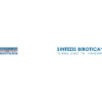 Sintezis Romania Logo