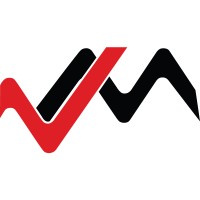 Vidir Logo