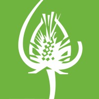 Touchstone Center For Crafts Logo