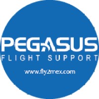 Pegasus Flight Support, Inc. Logo