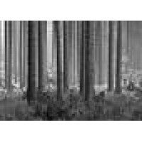 United Forest Products Logo