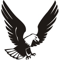Team Eagle Computers Logo