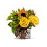 Teboe Florist Inc Logo