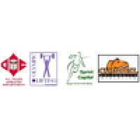 Team Chiropractic Logo