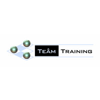 TEAM TRAINING CONSULTING Logo