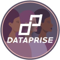 Dataprise Logo