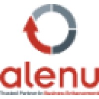 Alenu IT Business Solutions Pte Ltd Logo