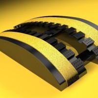 True Back Logo
