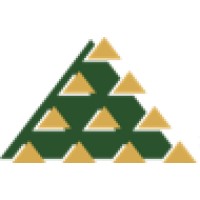 Triangle Equities Logo
