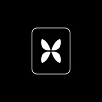Novo Studio Logo