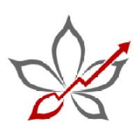 Buckeye Internet Marketing Logo