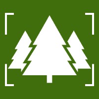 Arbory Digital Logo