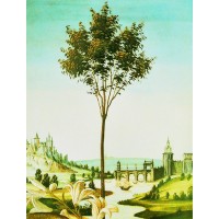 Botticelli Capital Partners LLC Logo