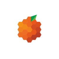 Orange Group Mexico Logo