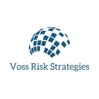 Voss Risk Strategies Logo