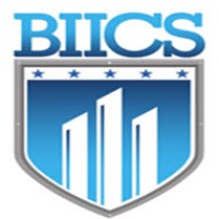 Business Intelligence & Informatics Consulting Services, Inc. Logo