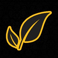 Pinnacle Hemp Logo
