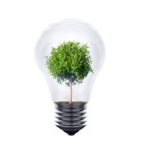 Spark Life Growth, LLC Logo