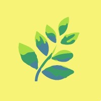 Fern Logo