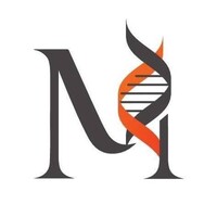 Instituto Méstris Logo