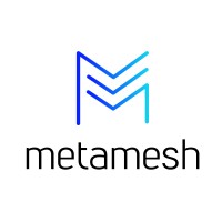 MetaMesh LLC Logo