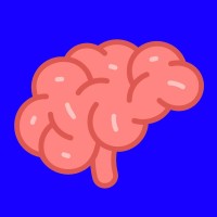 Brainstorm Academy. Logo