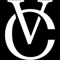 Viony Consultants Logo