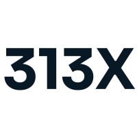 313X Cybersecurity Logo
