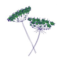 Verbena Digital Logo