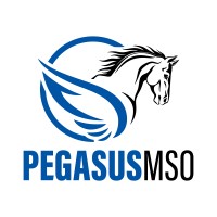 PegasusMSO, LLC Logo