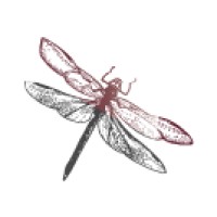 MiraNous Coaching & Consulting, LLC Logo