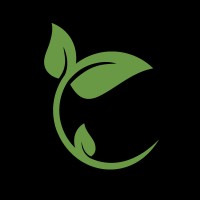 Candidus Logo
