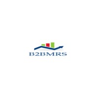 B2B Market Research Services Logo