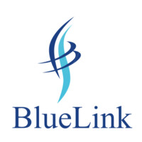 BlueLink Management Consulting Logo