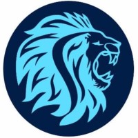 Sthenic Finance & Advisory Limited Logo