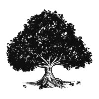 ParkWest Solutions Logo