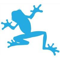 TrueBlue Designs Logo