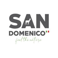 San Domenico Ski Logo