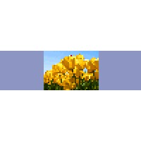 Portofino Jewelry Logo
