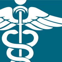 Premier Nursing Academy Logo