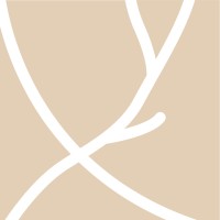Vespucci Partners Logo
