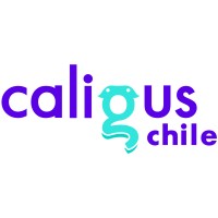Caligus Chile Logo
