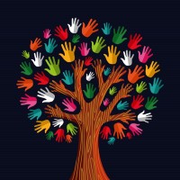 Walk the Middle Way Logo