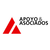 Apoyo & Asociados | Fitch Ratings Logo