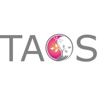 TAOS Digital Logo