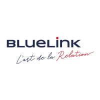 Bluelink International Chile Logo
